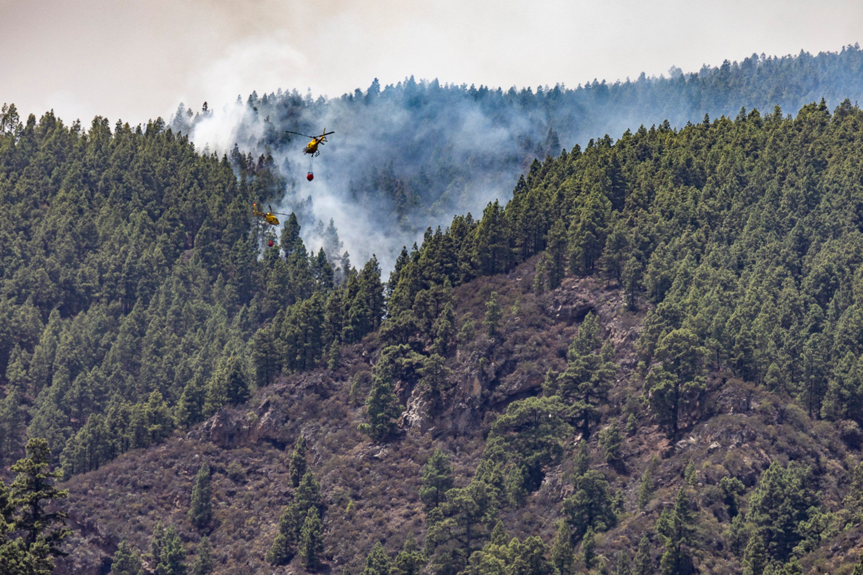La Esperanza: Zwei Feuerlöschhubschrauber sind in Las Lagunetas, Teneriffa, im Einsatz.