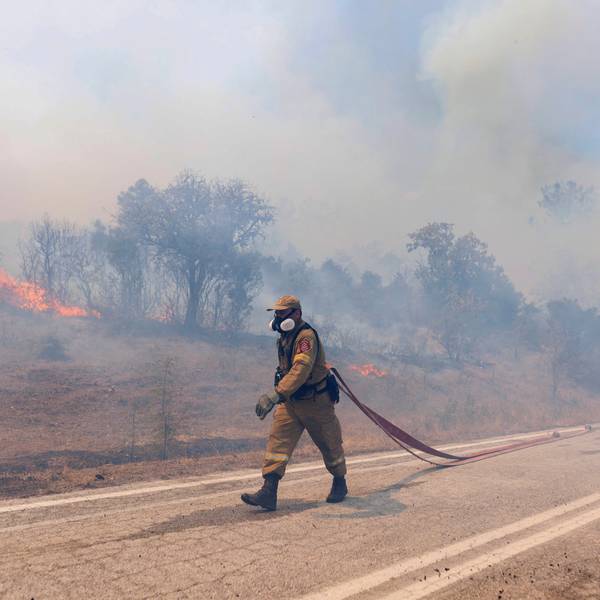 Griechenland, Kirkis: Ein Feuerwehrmann zieht einen Wasserschlauch bei Löscharbeiten während der Waldbrände.