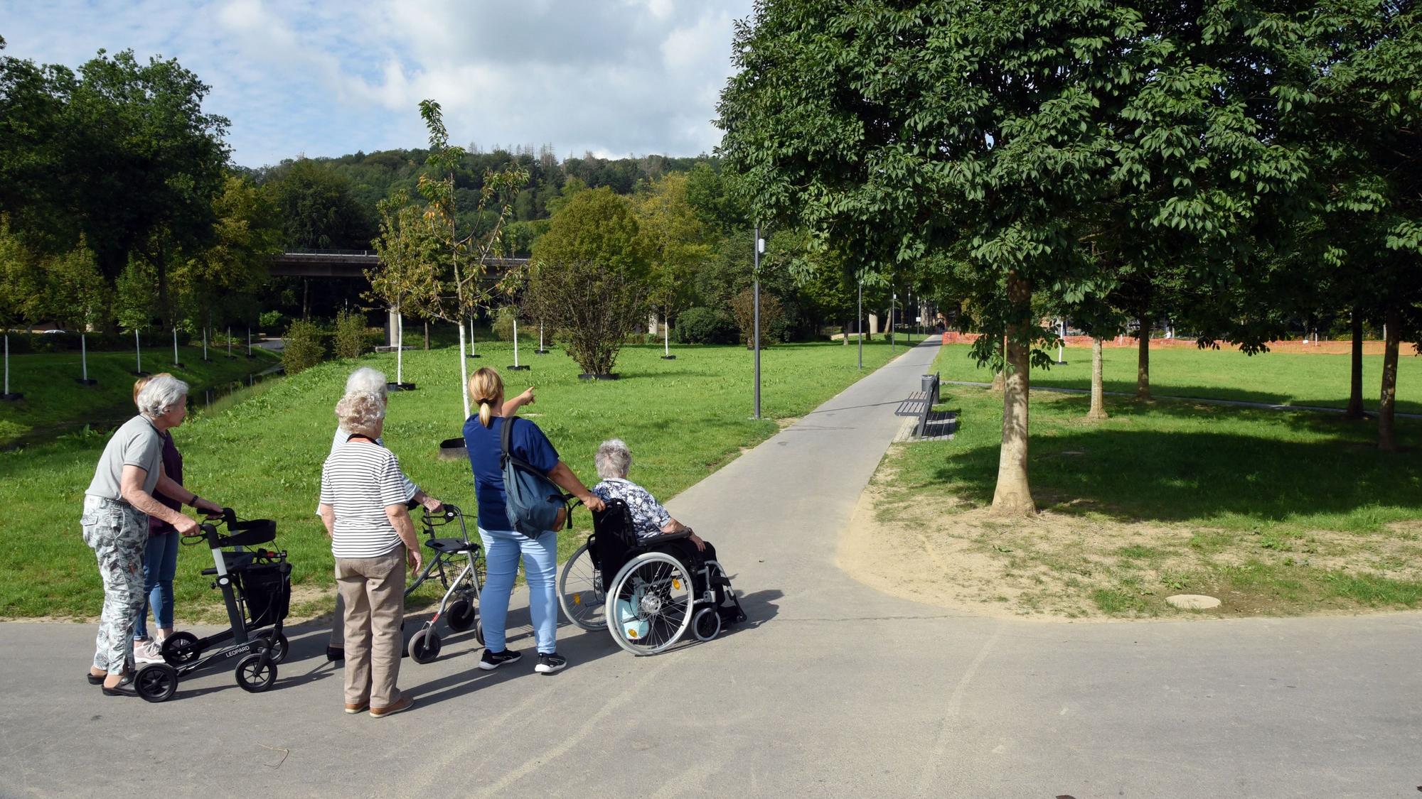 Ältere Damen mit Rollatoren und Rollstuhl bewegen sich auf einem Parkweg.