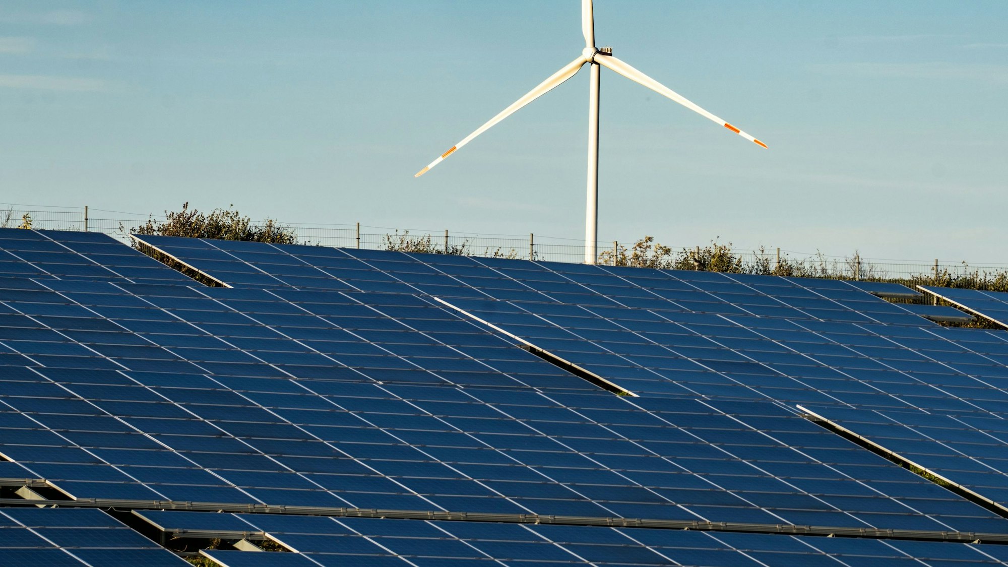 Ein Windrad steht auf einem Hügel oberhalb einer großflächigen Solaranlage auf einem Feld.