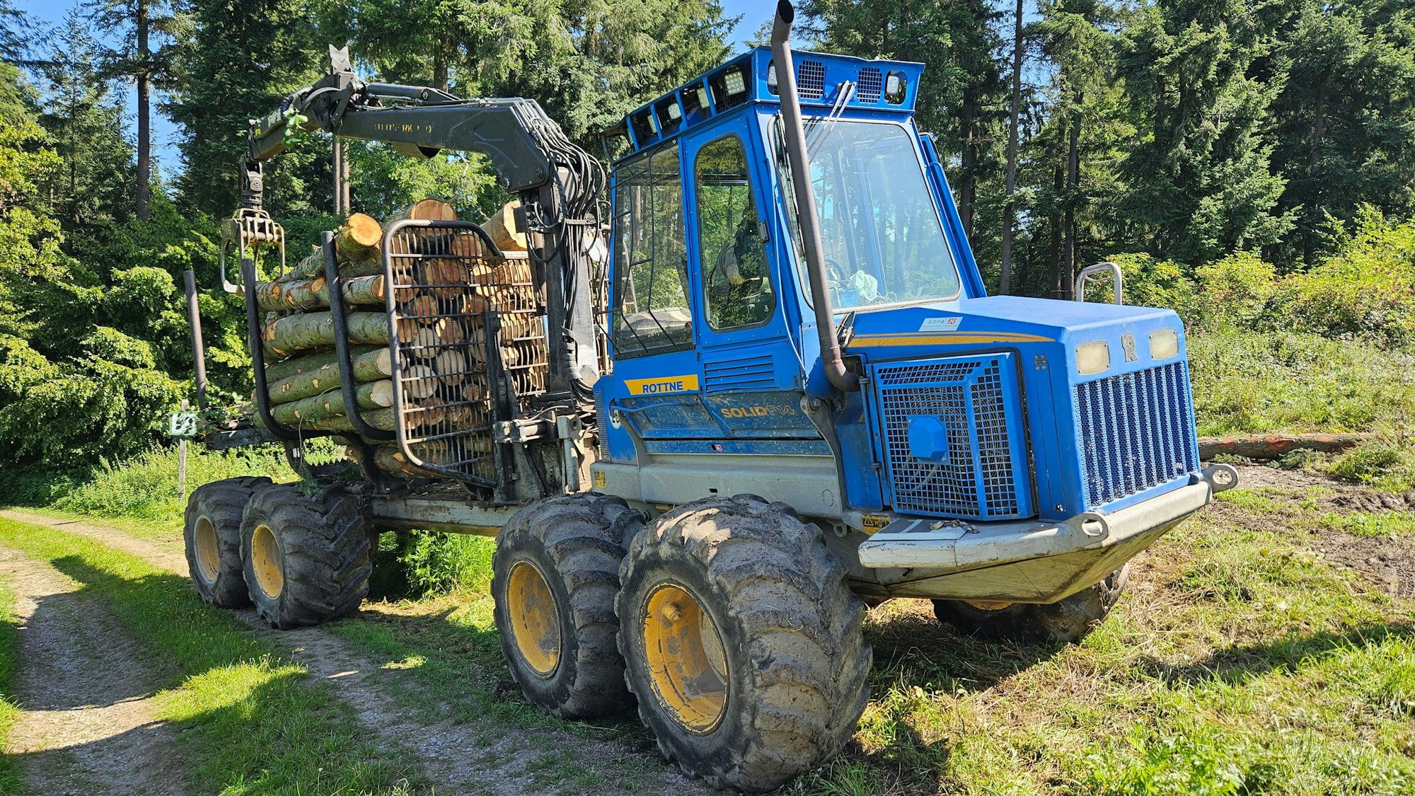 Ein blaue Rückemaschine transportiert Stämme auf der Ladefläche.