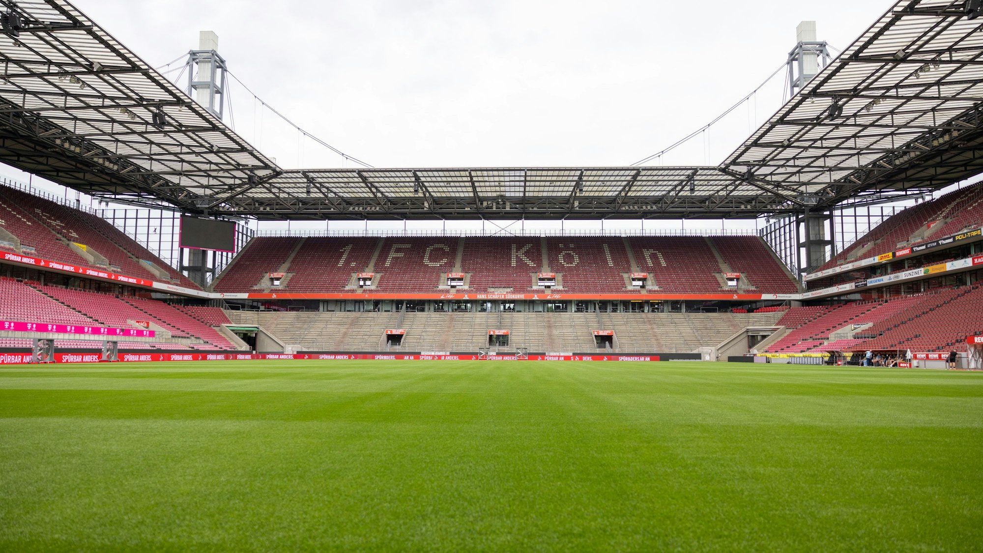 Rasen im Rheinenergie-Stadion