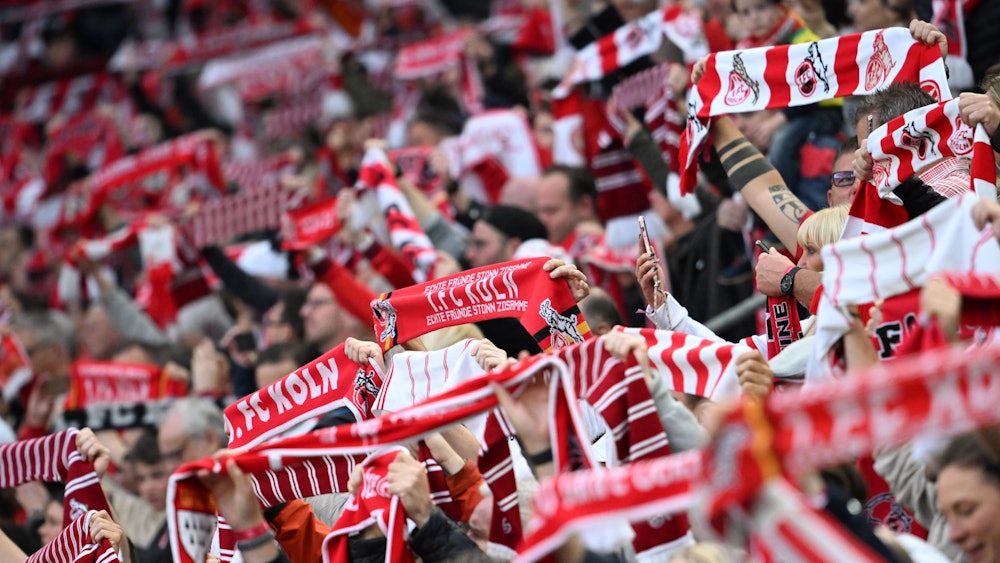 Kölns Fans sorgen für Stimmung.
