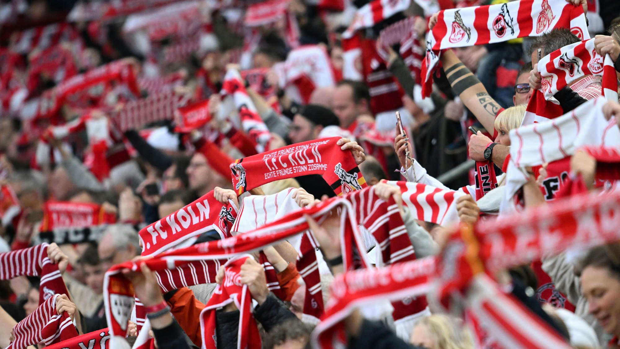 Kölns Fans sorgen für Stimmung.