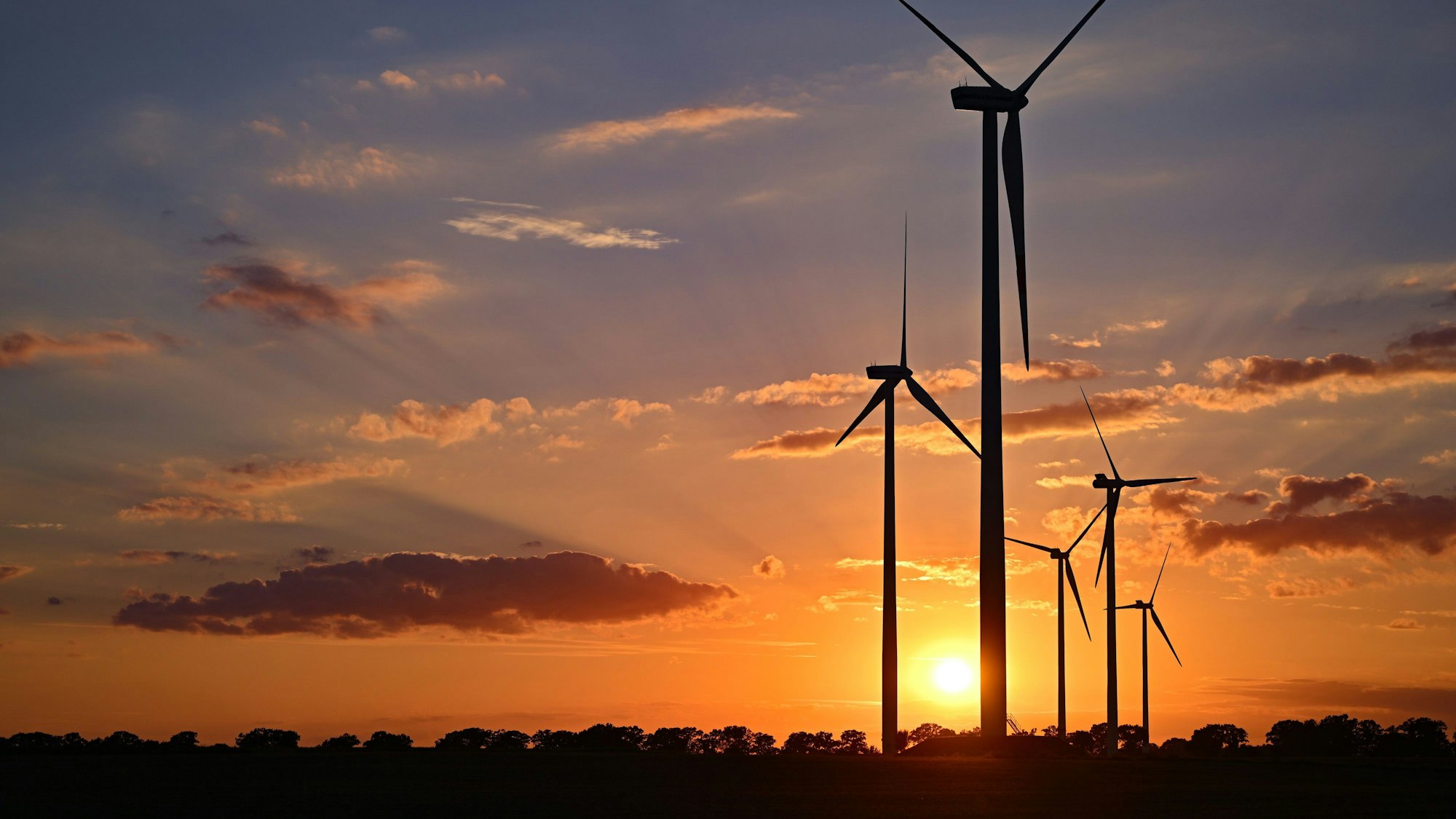 Fünf Windräder in einem Windpark in der Abendsonne.
