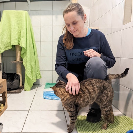 Blick auf eine Frau, die sich herunterbeugt und eine Katze streichelt.