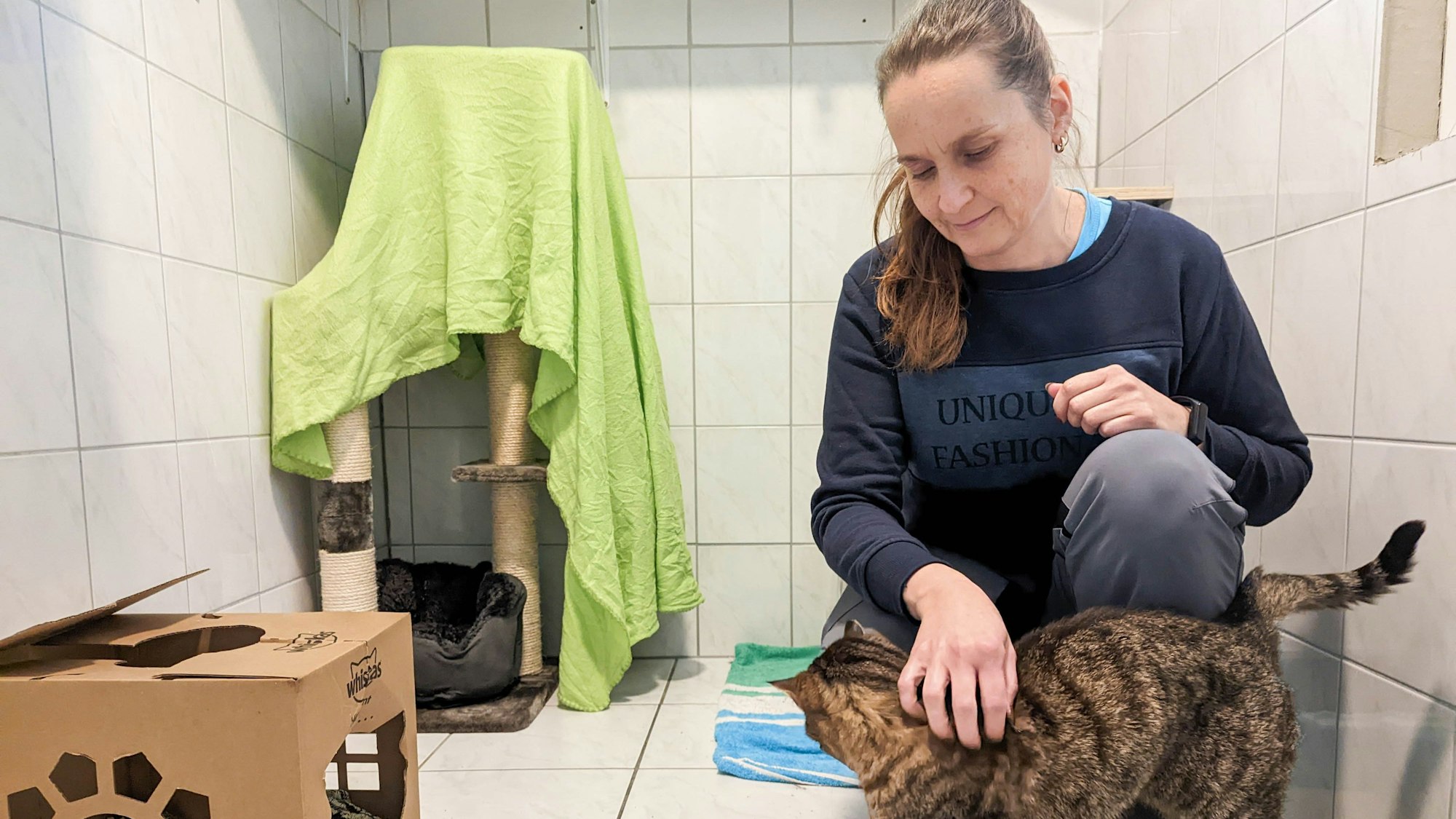 Blick auf eine Frau, die sich herunterbeugt und eine Katze streichelt.