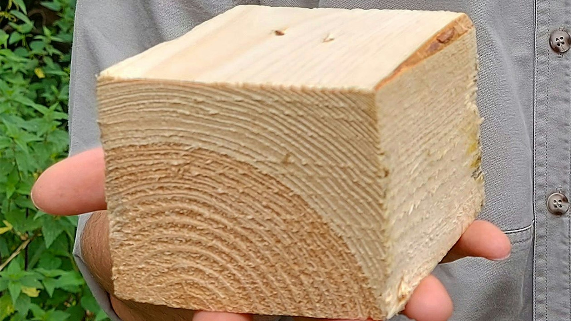 Ein Holzblock ist zu sehen.