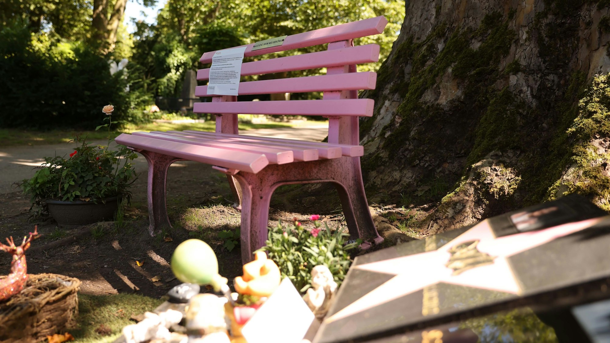 Rosa Bank am Grab von Dirk Bach.