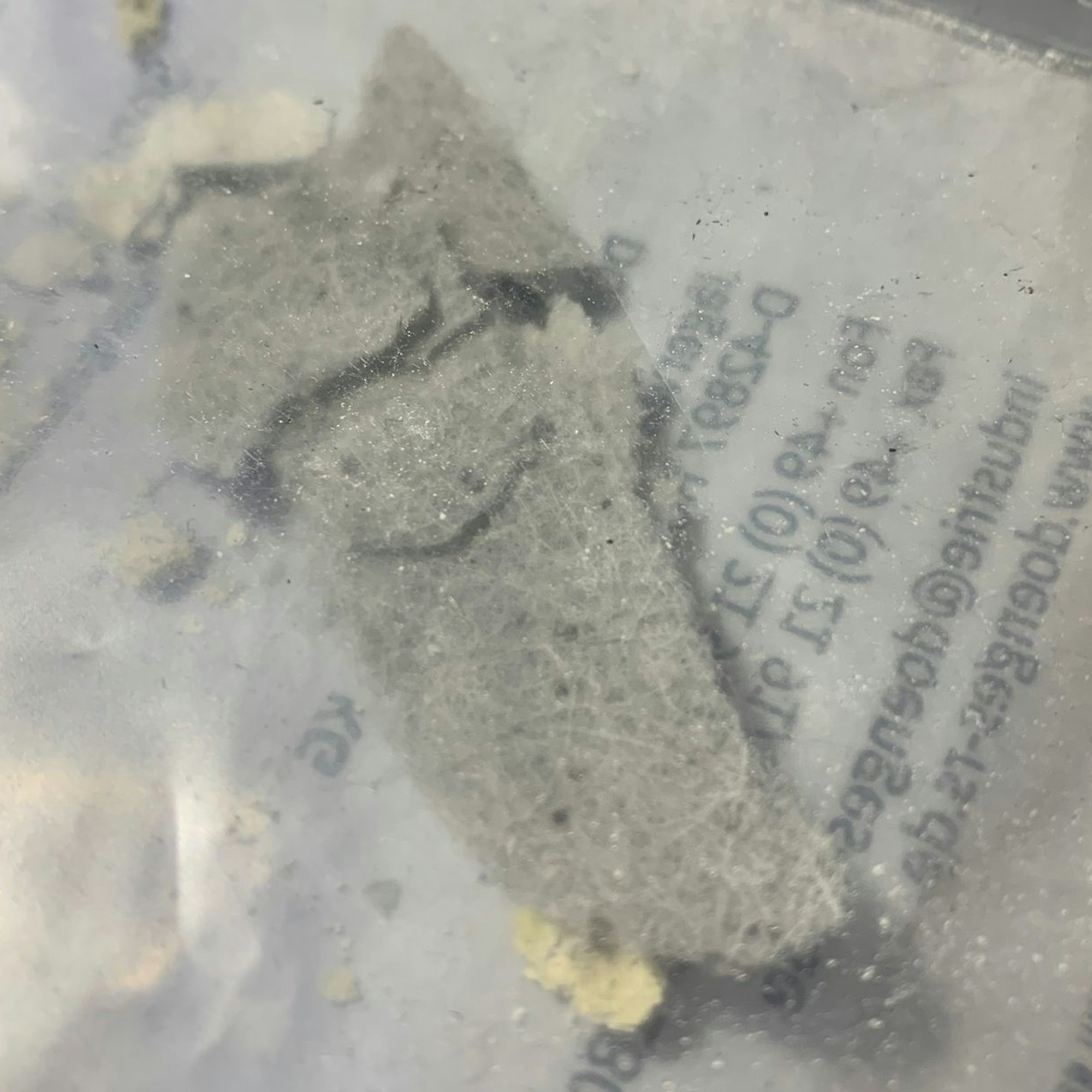 In einer transparenten Kunststofftasche sind weiße Partikel zu sehen, die nach einem Großbrand in Refrath niedergeschlagen sind.