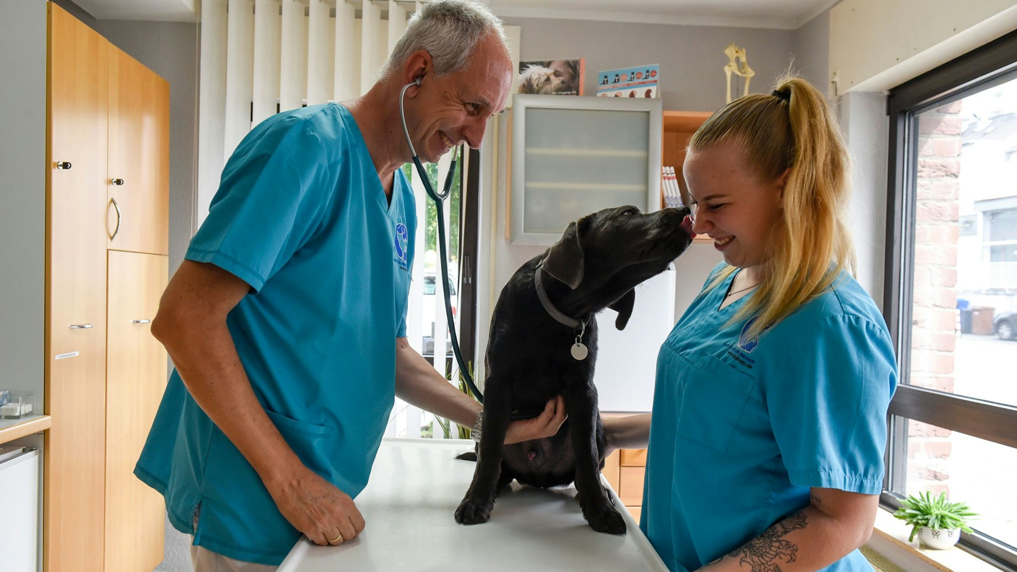 Auf dem Foto sind Tierarzt Malte Frank Kubinetz und seine Assistentin Bianca Meinke zu sehen. Sie untersuchen Labrador Apollo.