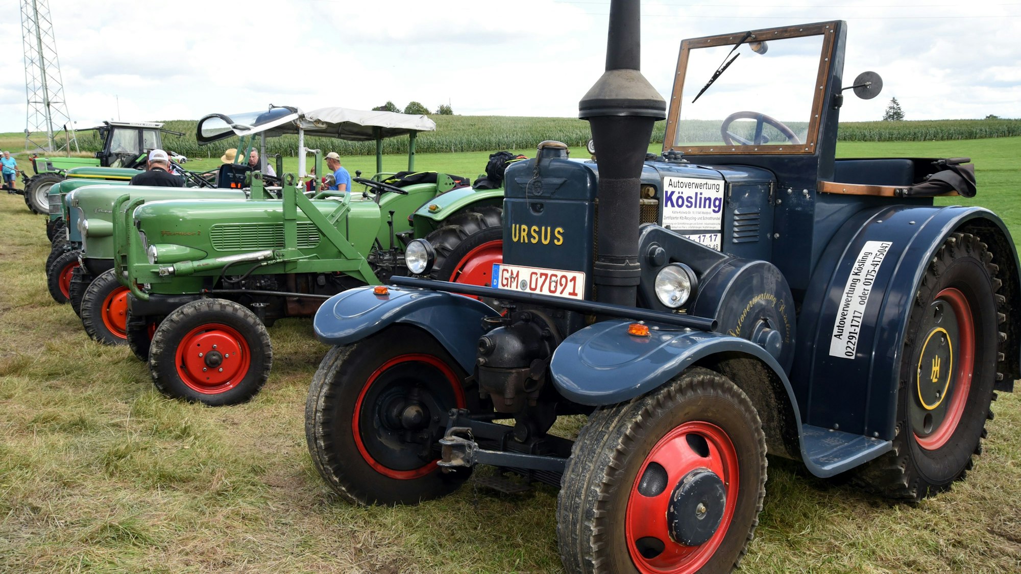 Mehrere Oldtimer-Trecker stehen auf einer Wiese in einer Reihe.
