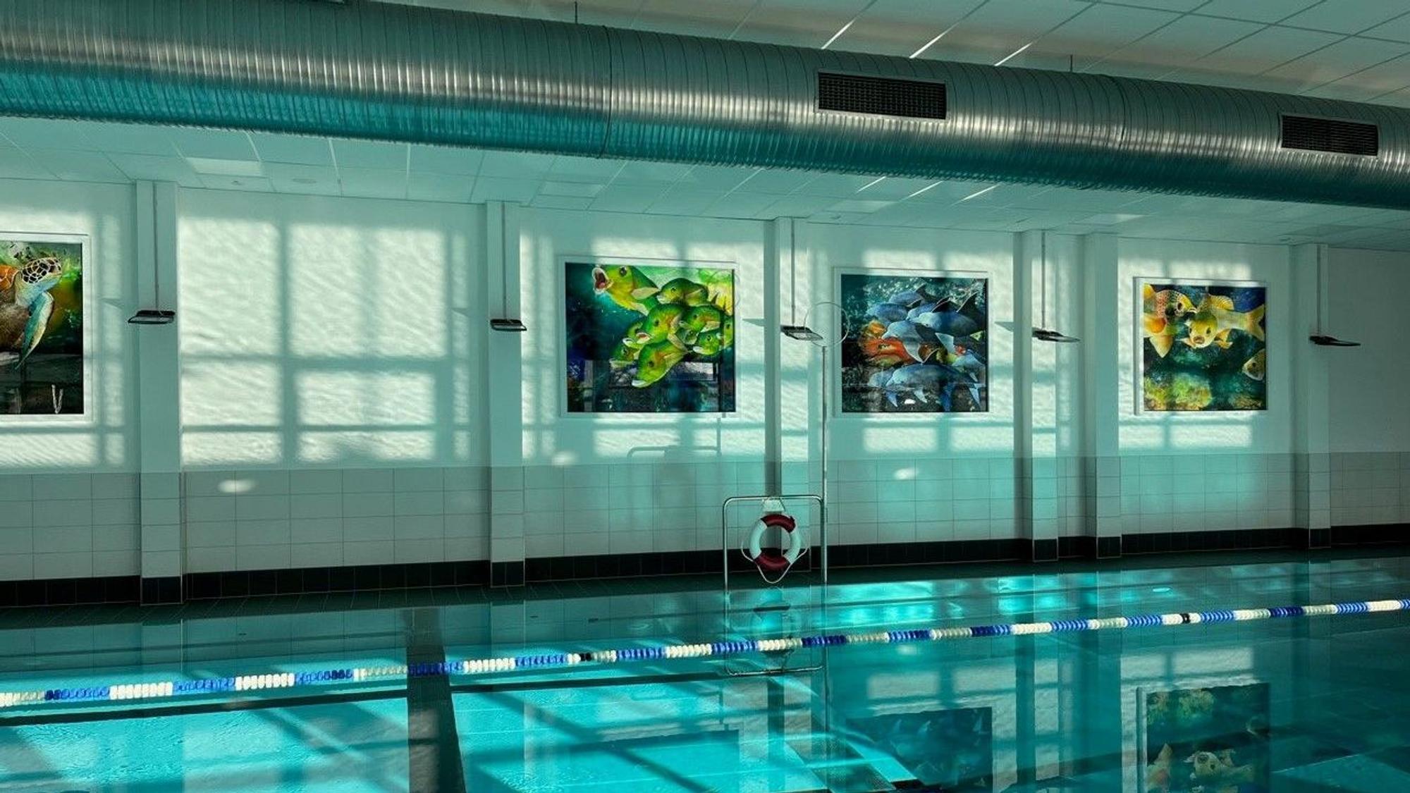 Das Innere eines Hallenbads ohne Besucher. An der Wand hängen Bilder, die Meeresgetier zeigen.