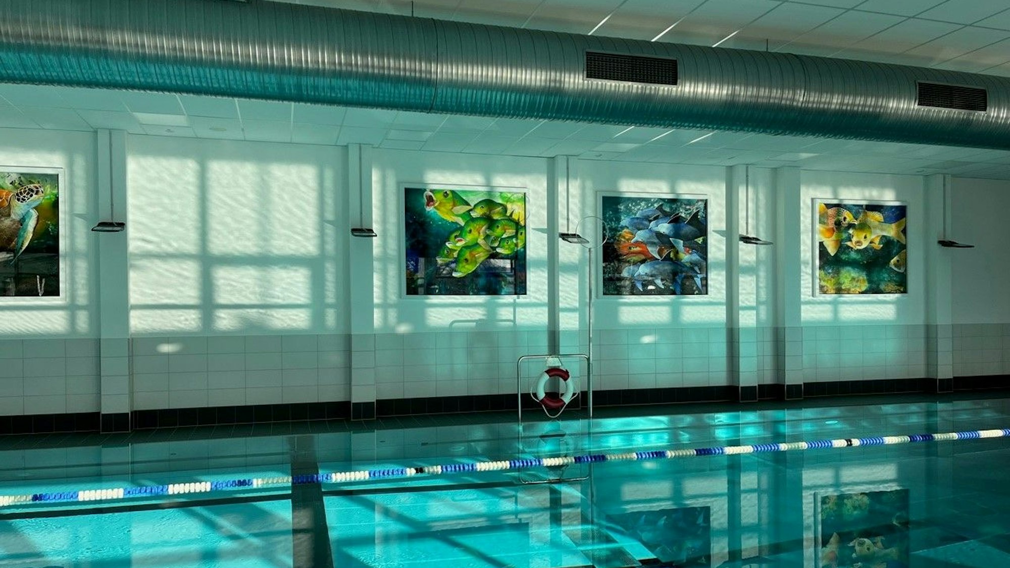 Das Innere eines Hallenbads ohne Besucher. An der Wand hängen Bilder, die Meeresgetier zeigen.