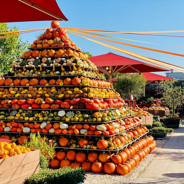 Das Foto zeigt einer fünf Meter Hohe Pyramide aus bunten Kürbissen.