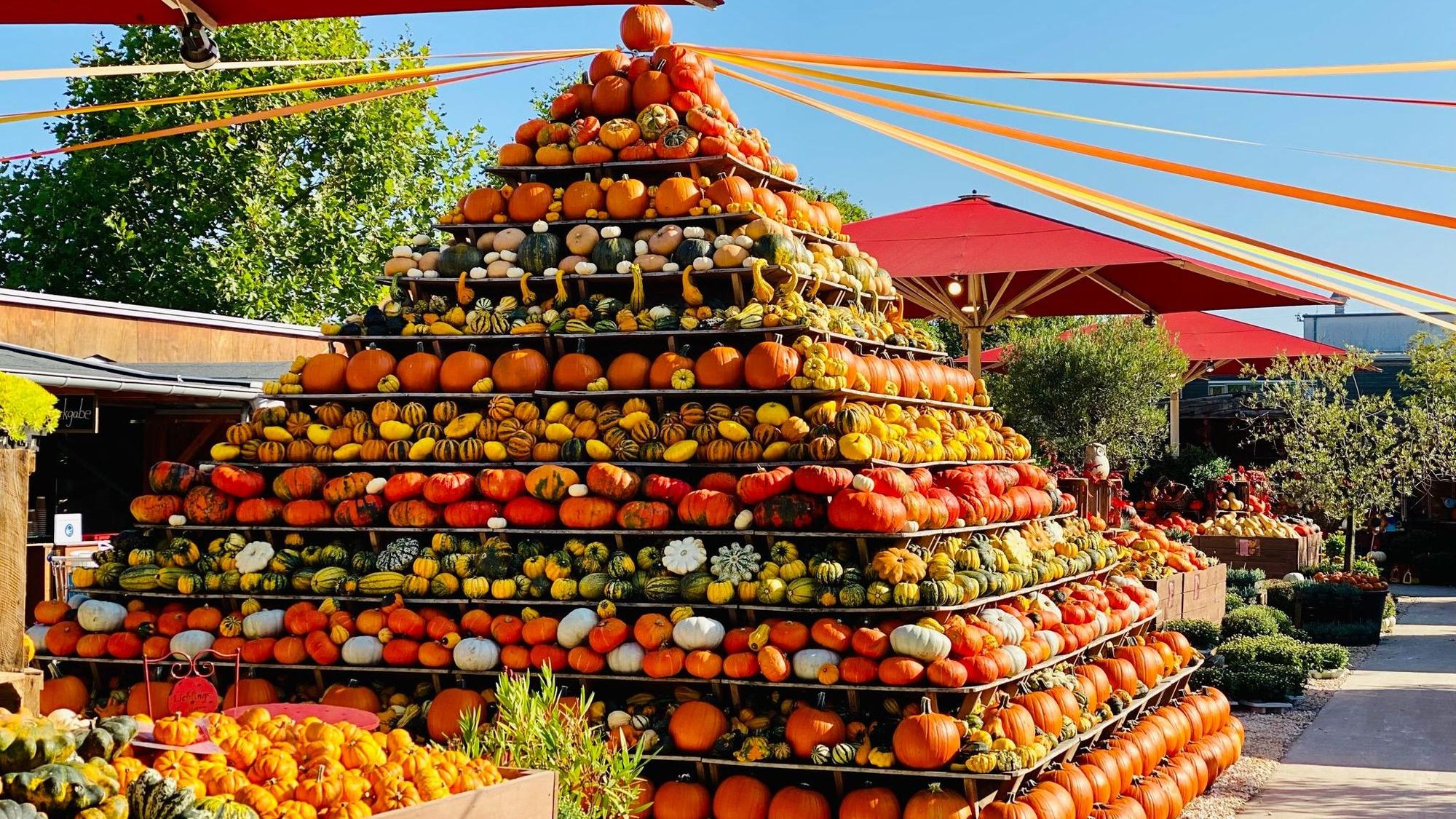 Das Foto zeigt einer fünf Meter Hohe Pyramide aus bunten Kürbissen.