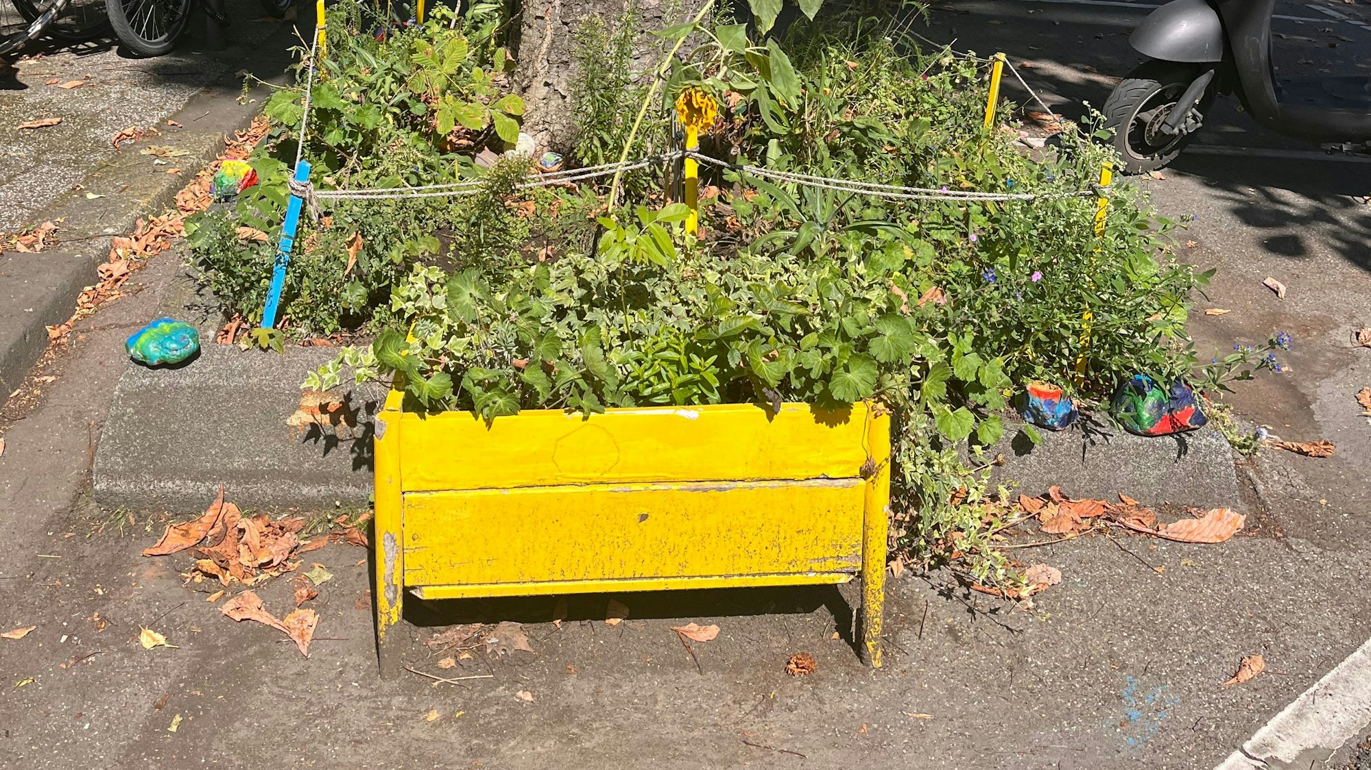 Auch der bunte Blumenkasten soll entfernt werden.