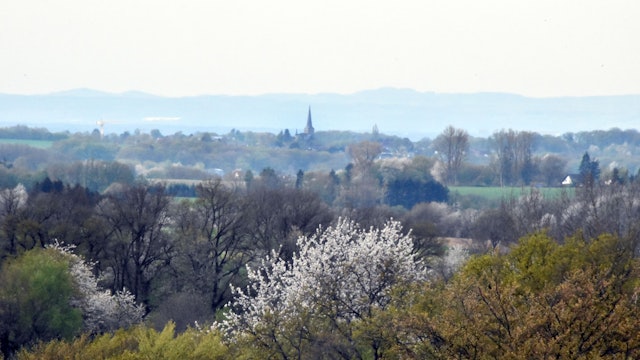 Blick auf den Kirchturm von Neunkirchen, im Vordergrund stehen blühende Bäume, im Hintergrund ist das Siebengebirge zu sehen.