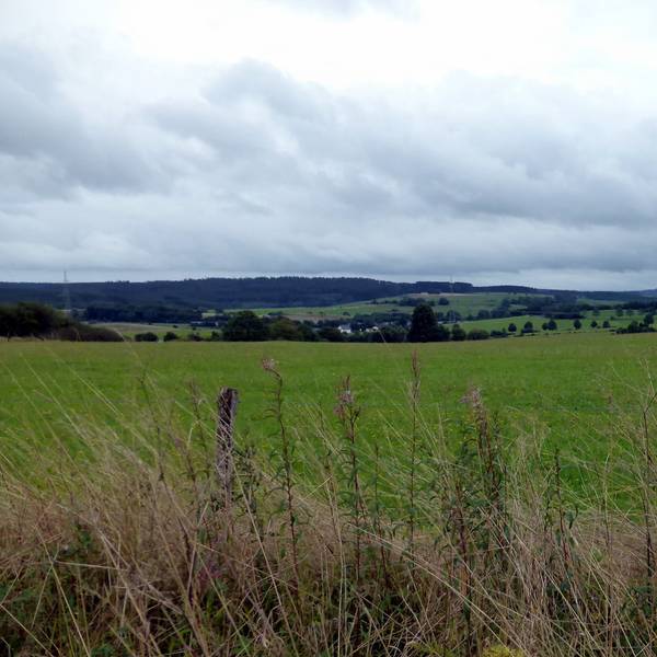 Ausblick auf eine Landschaft in der Eifel