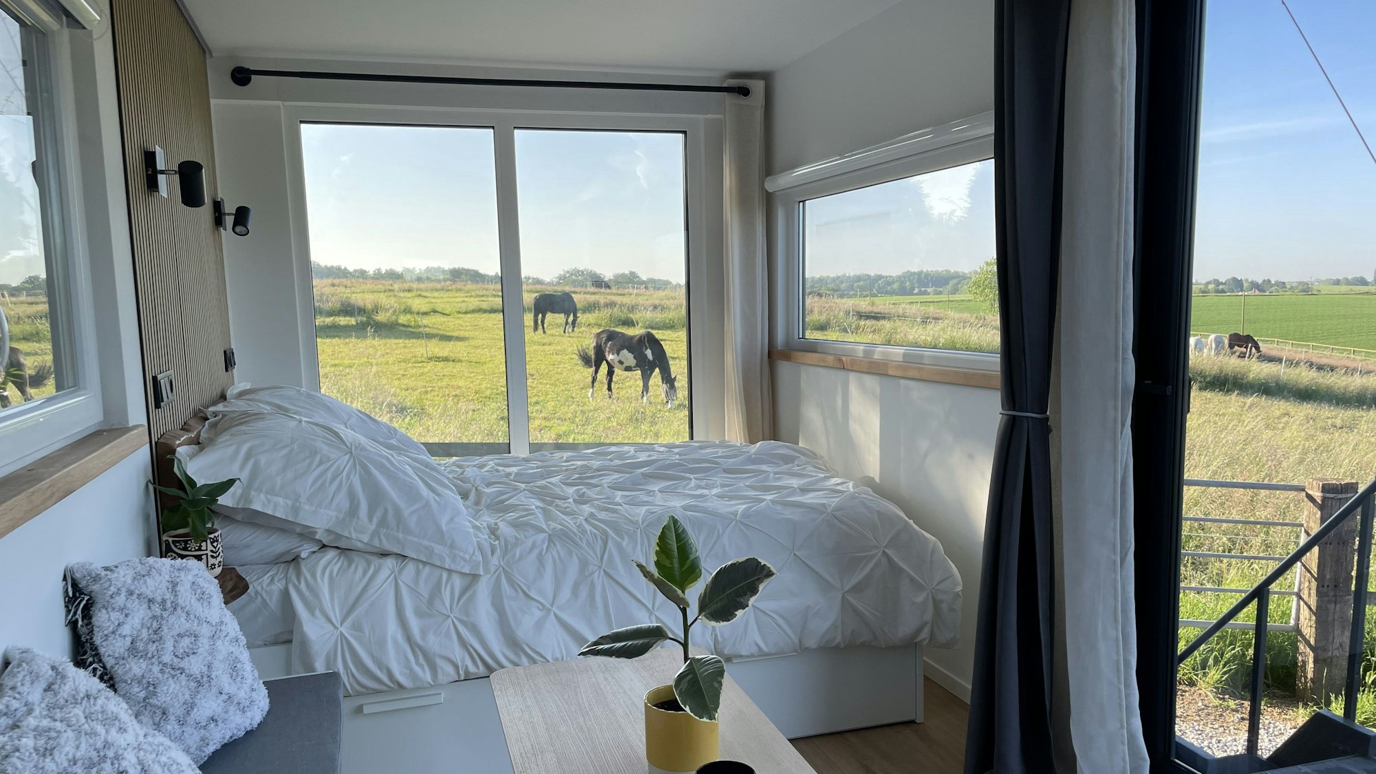 Tiny House im Container direkt neben der Pferdekoppel und am Wanderweg.