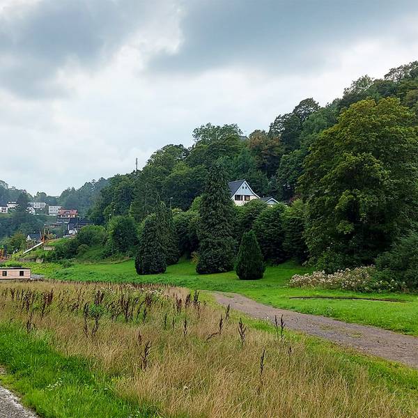 Blick ins Giesenbachtal. Ein Schotterweg verläuft in Richtung Blankenheim.