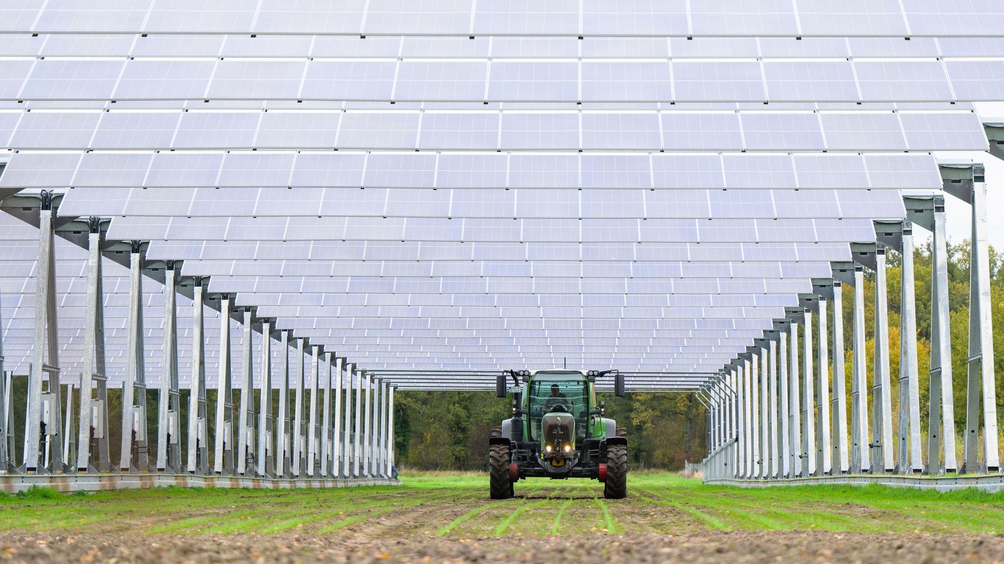 Blick auf eine große Photovoltaikanlage, unter der ein Traktor hindurchfährt.