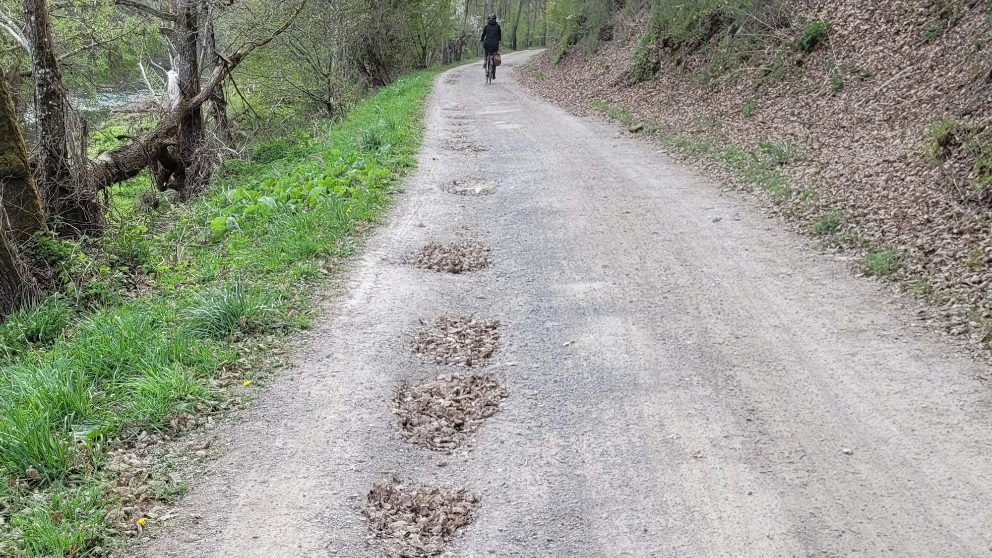 Zu sehen ist ein Weg mit mehreren Schlaglöchern.