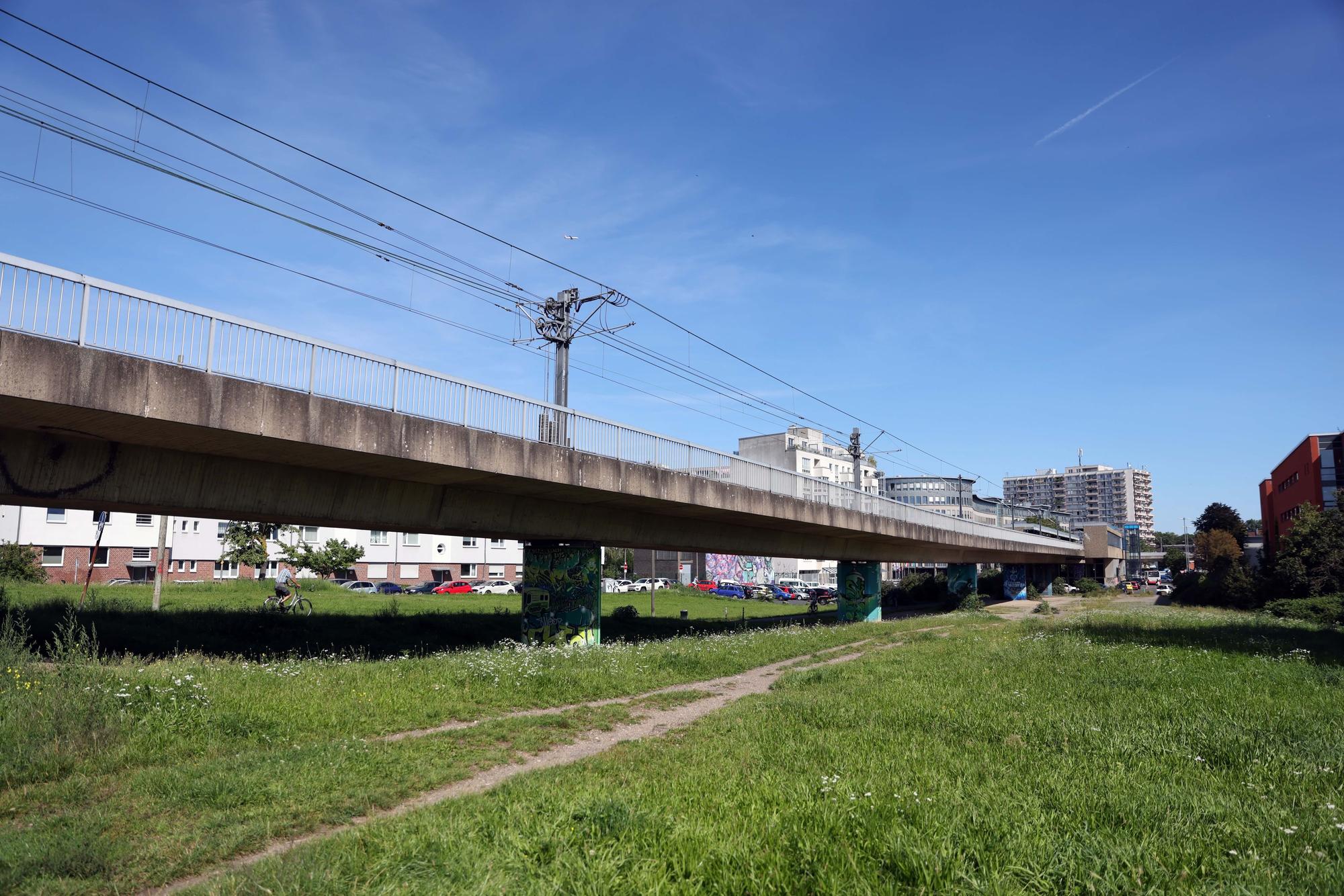 Wiese an der Hochbahn der KVB-Linie 13 in Nippes.