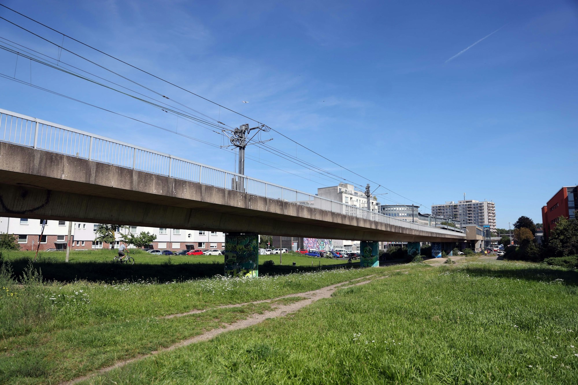 Wiese an der Hochbahn der KVB-Linie 13 in Nippes.