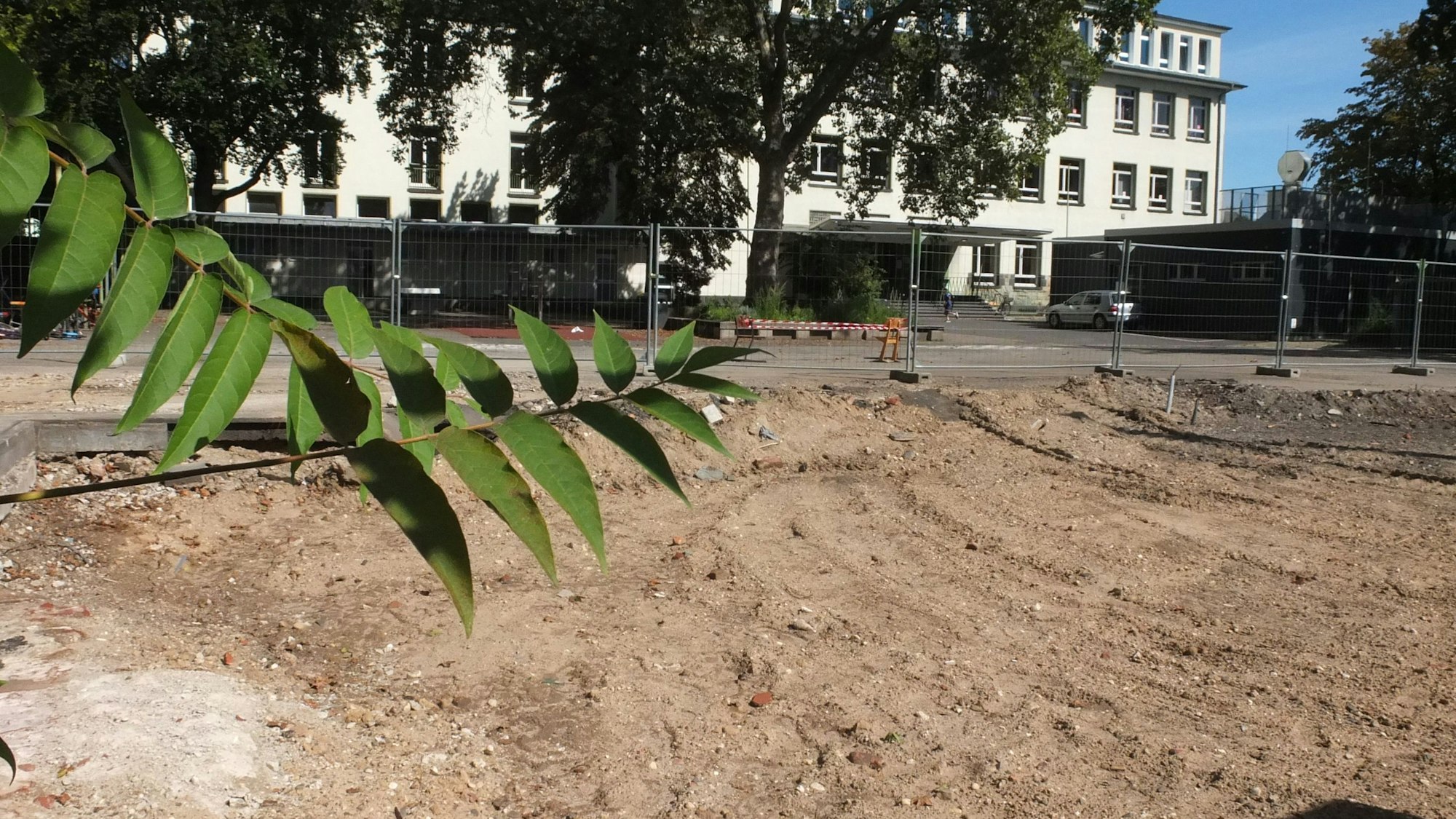 Eine freie Fläche ist zu sehen, im Hintergrund eine Straße und ein großes helles Gebäude.