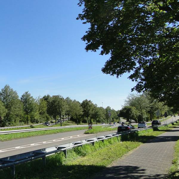 Eine mehrspurige Straße mit Bäumen links und rechts ist zu sehen.