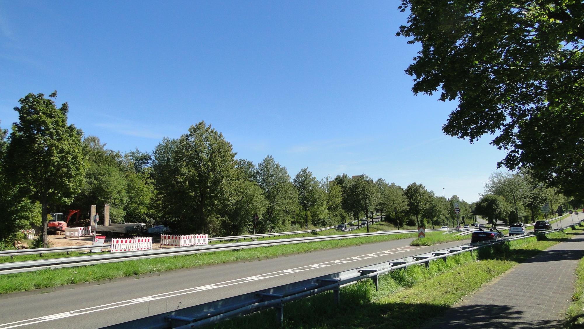 Eine mehrspurige Straße mit Bäumen links und rechts ist zu sehen.