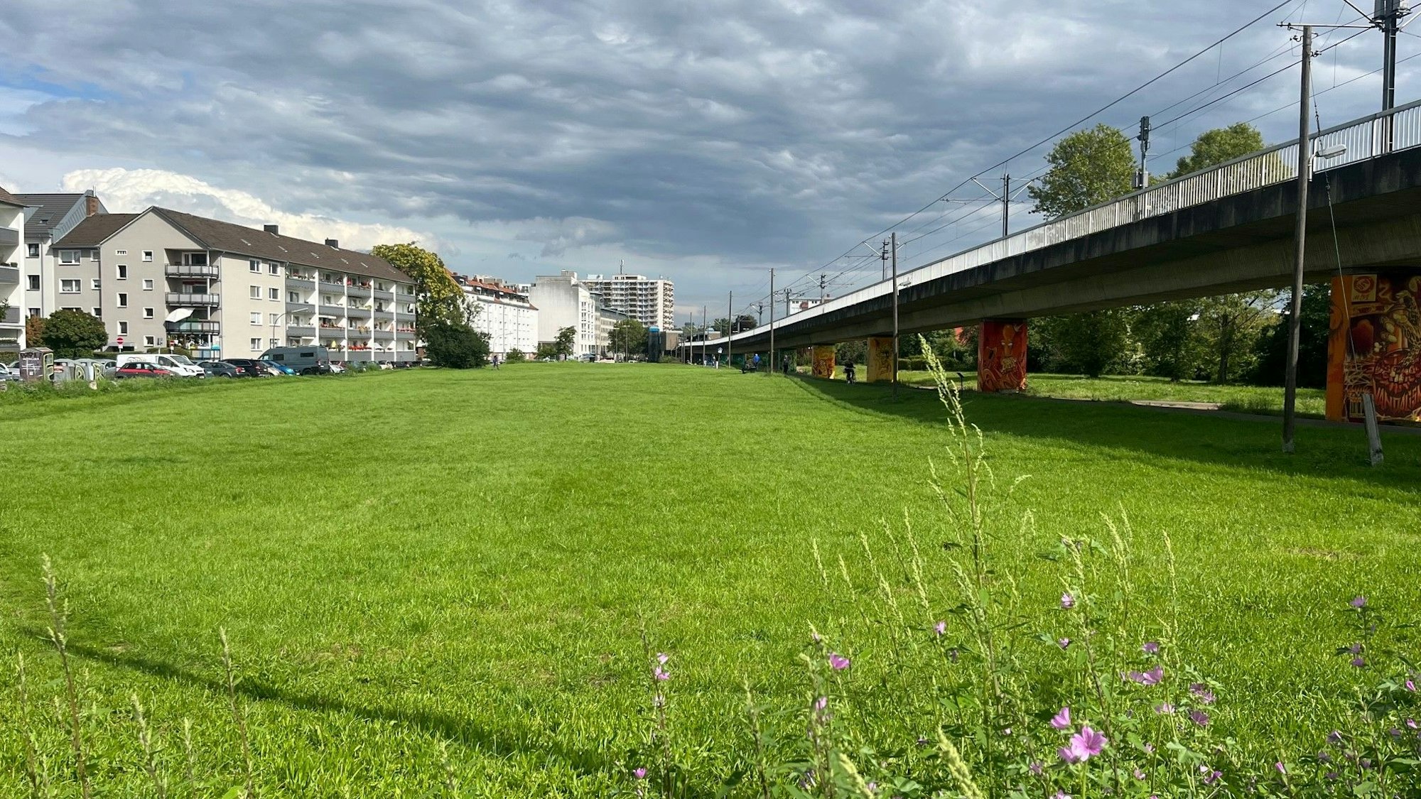 Blick von der Merheimer Straße auf den ersten Teil des geplanten Grünzuges.