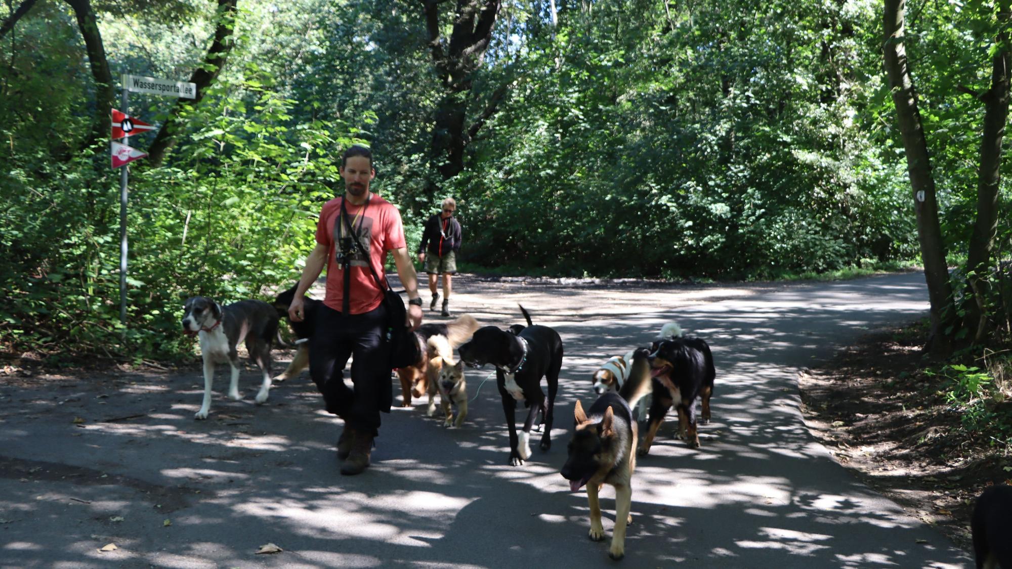 Das Foto zeigt Sebastian Kendler und seine Hunde.