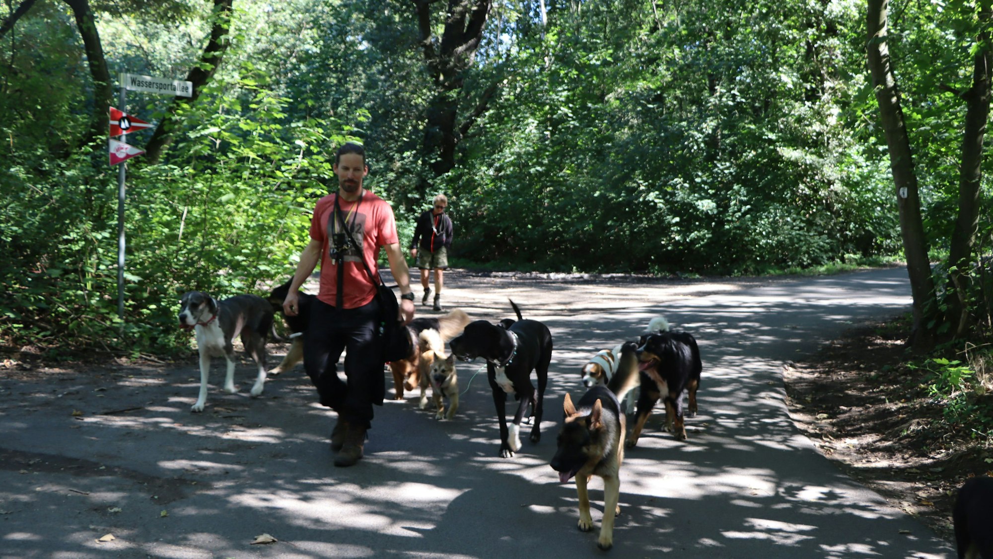 Das Foto zeigt Sebastian Kendler und seine Hunde.