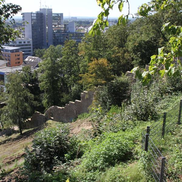 Blick auf das Kreishaus in Siegburg vom Michaelsberg aus