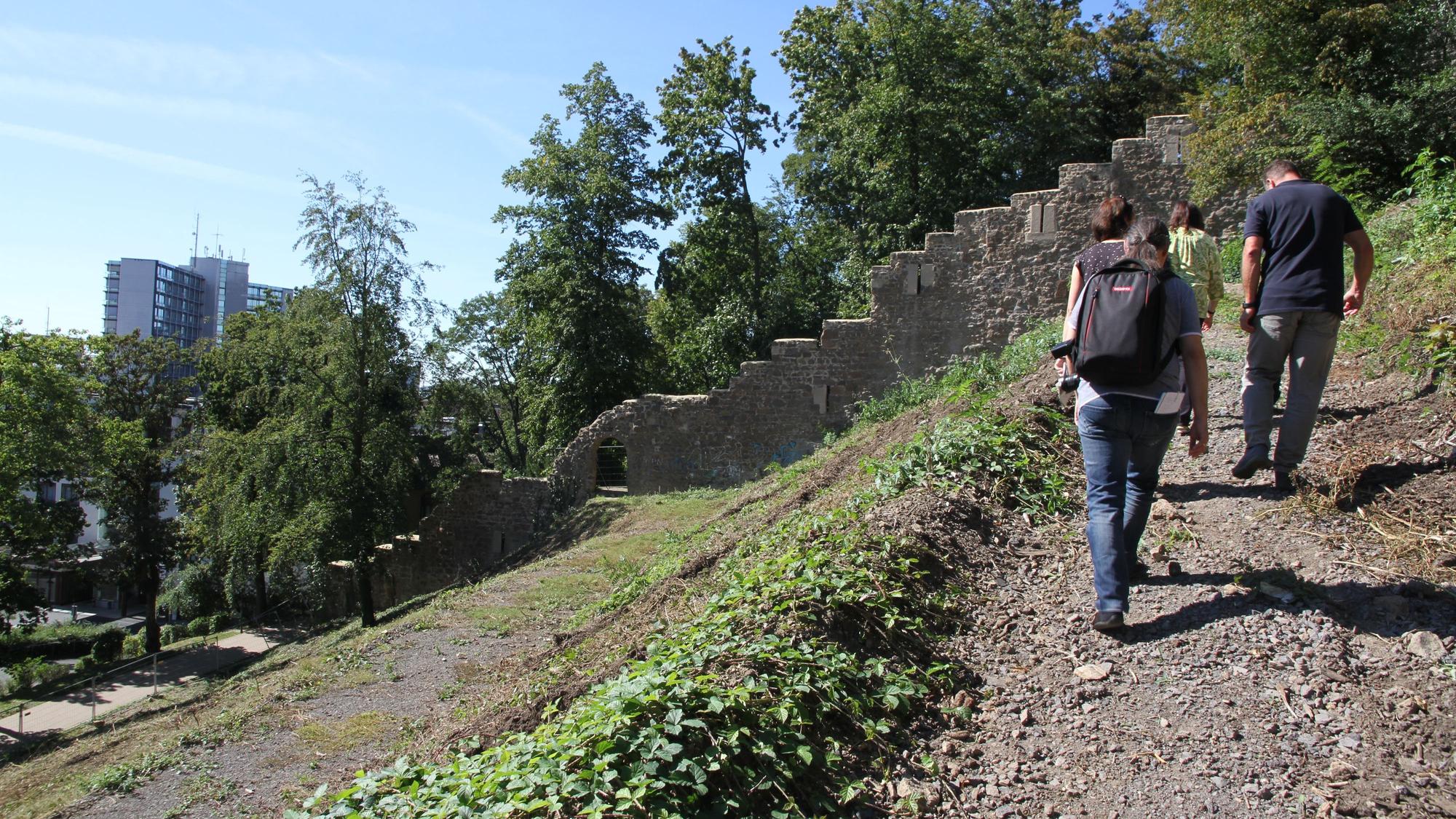 Fußgänger gehen einen felsigen Weg am Michaelsberg hinauf