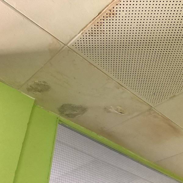 Auf dem Foto ist eine Zimmerdecke mit Feuchtigkeitsschäden zu sehen