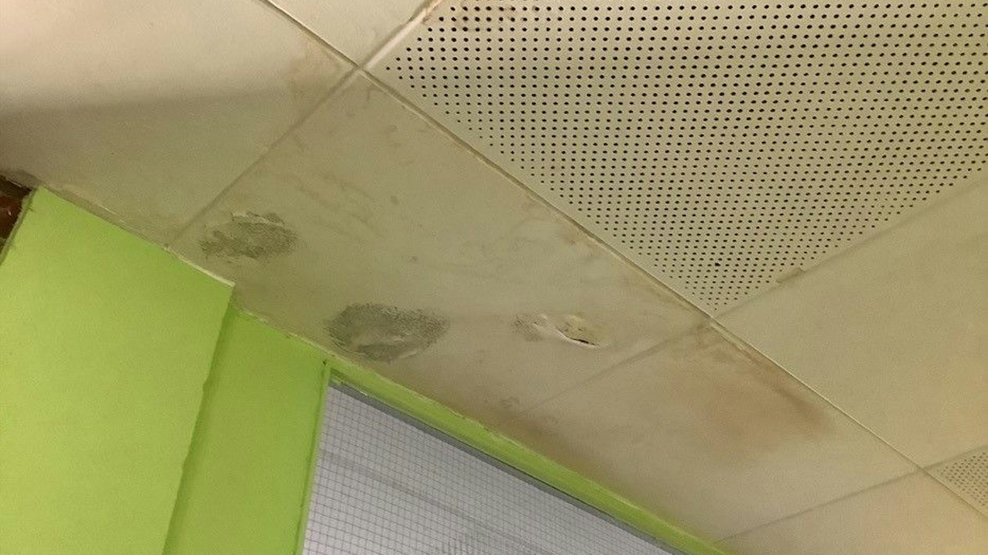 An einer Zimmerdecke sind Flecken und nasse Stellen.