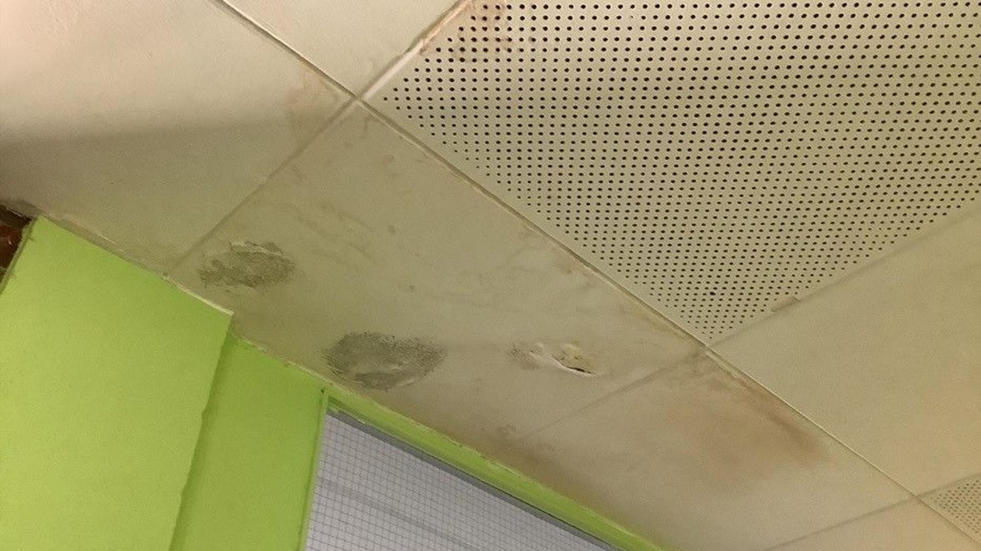 Auf dem Foto ist eine Zimmerdecke mit Feuchtigkeitsschäden zu sehen