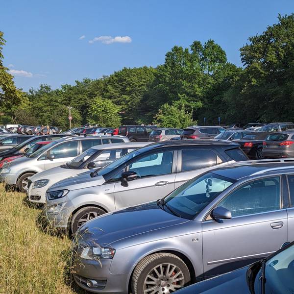 Viele Autos auf einem Parkplatz zwischen Büschen und Bäumen.