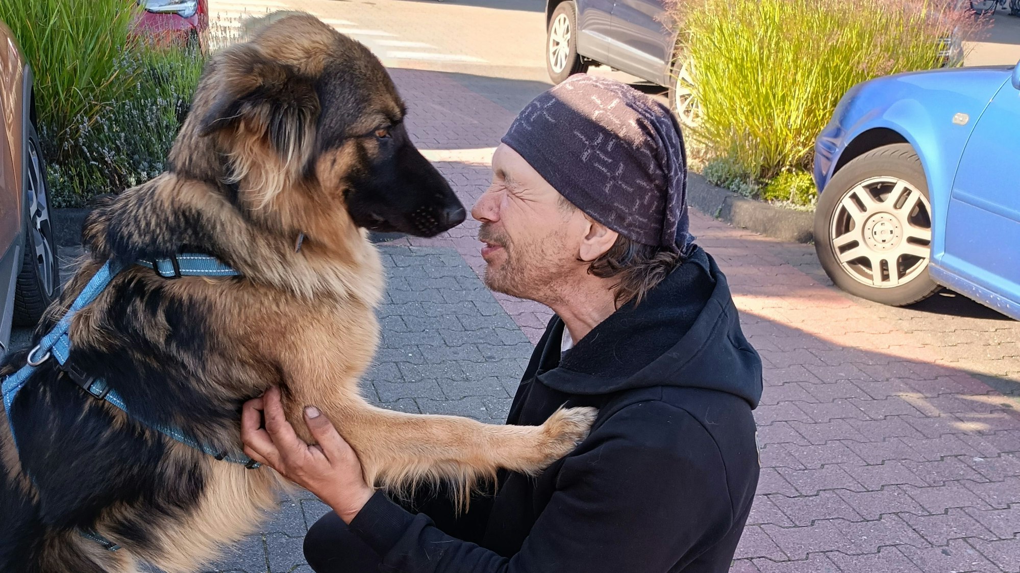 Das Bild zeigt die Schäferhündin Lunamit Herrchen Andreas Wüntenberg.
