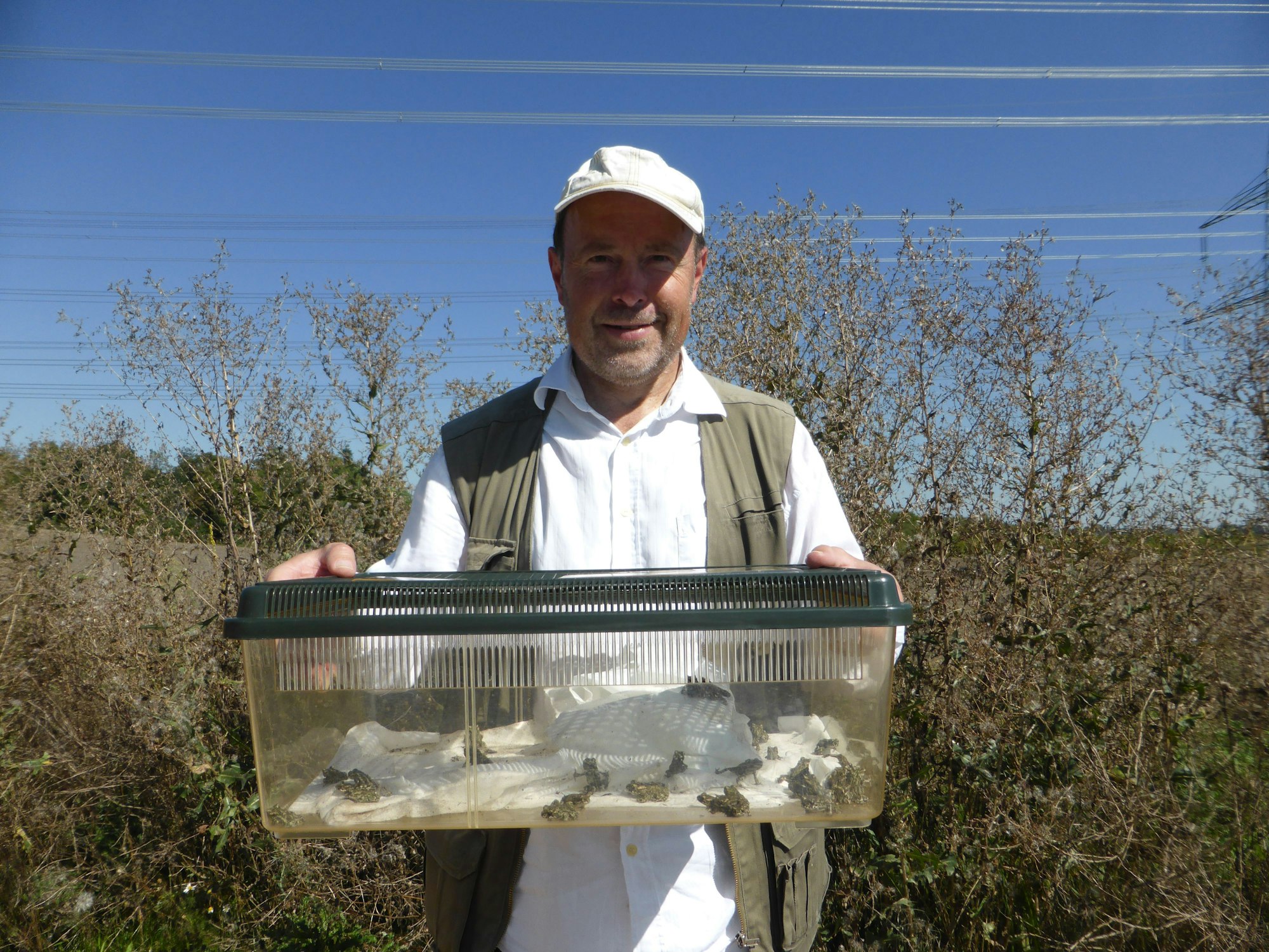 Ein Mann mit weißem Hemd, Safari-Weste und weißem Käppi steht auf einem Feld, im Hintergrund ist Gebüsch und blauer Himmel zu sehen.