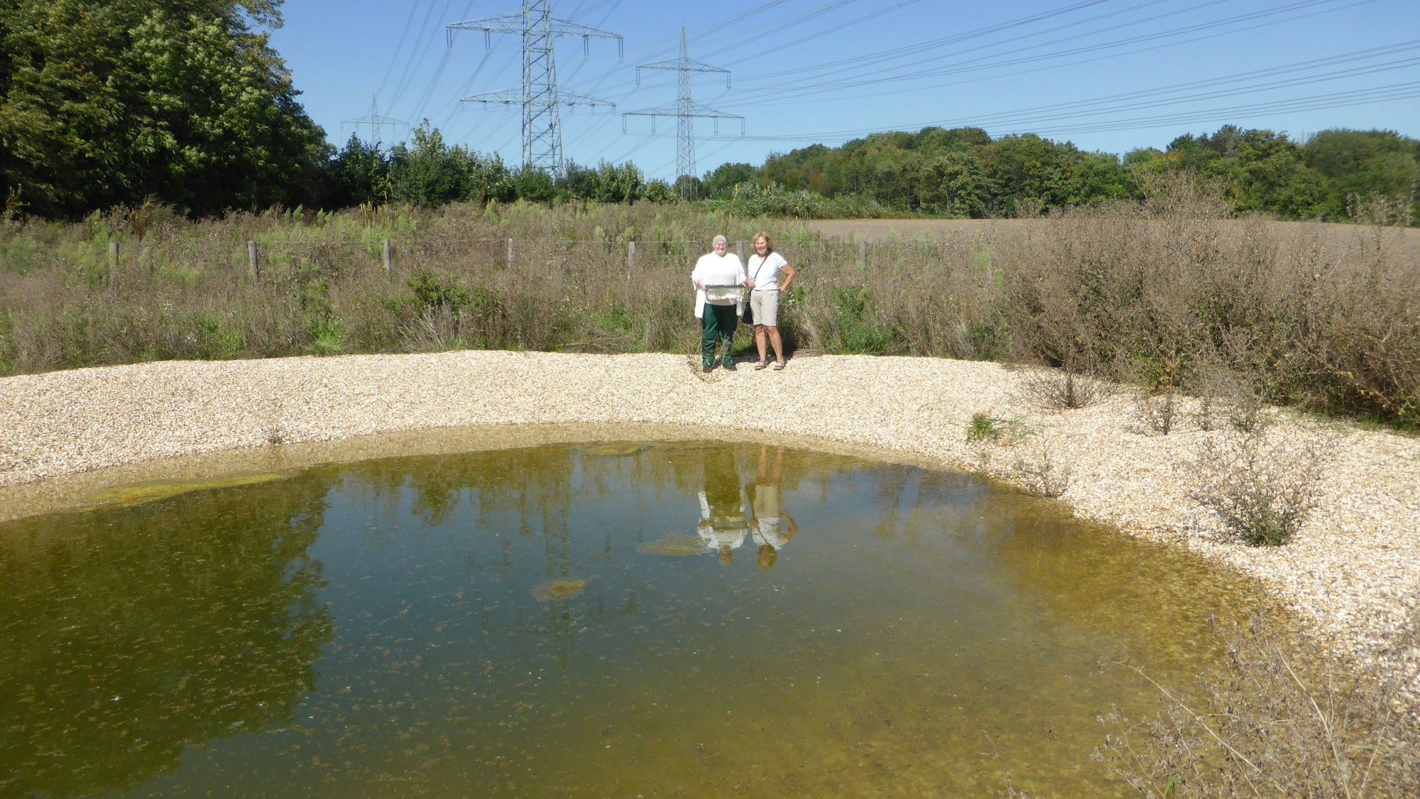 Ein Mann hält eine große Box mit kleinen Kröten in der Hand. Er steht vor einem Gestrüpp auf einem Feld
