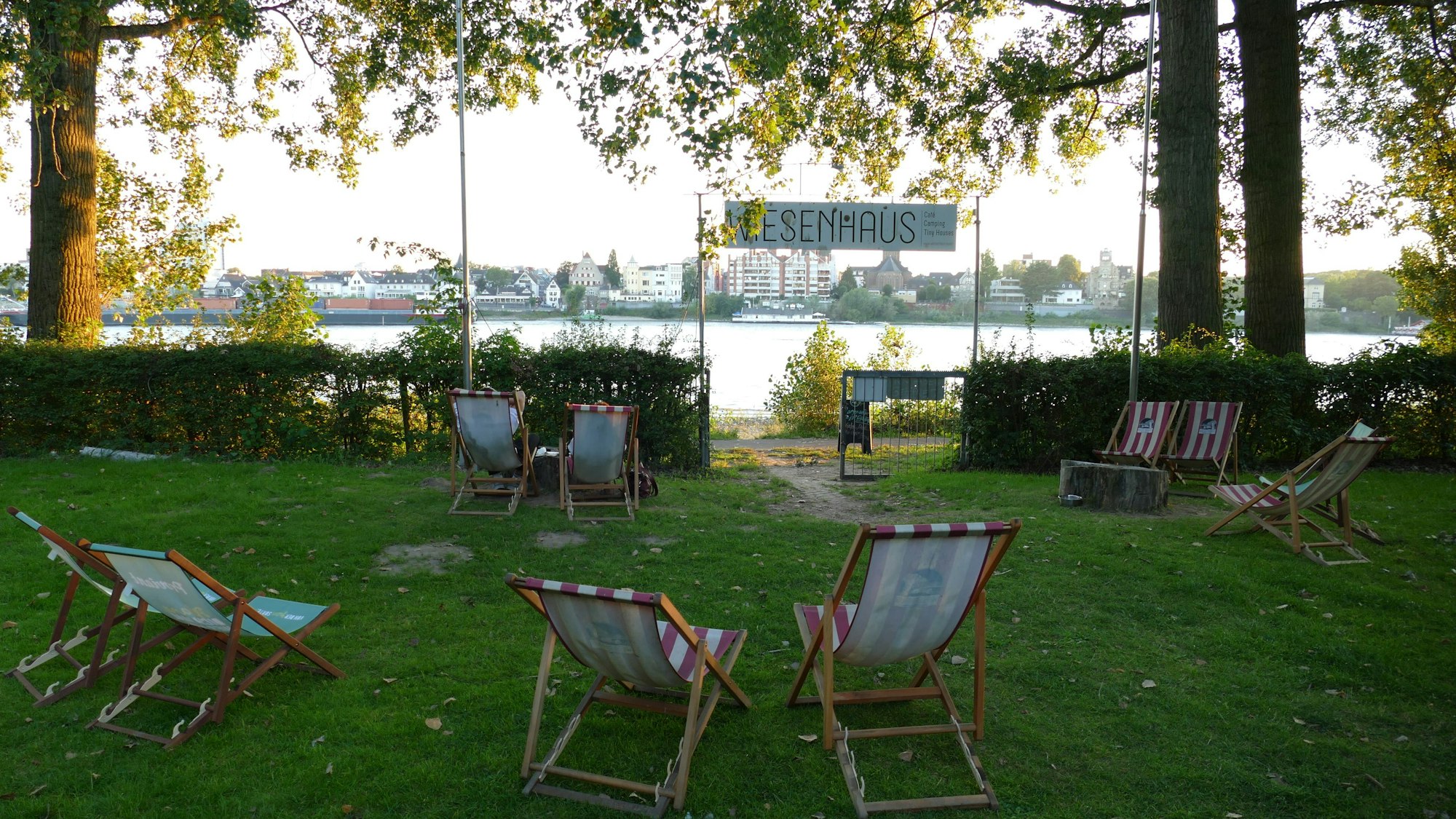 Liegestühle auf einer Wiese.