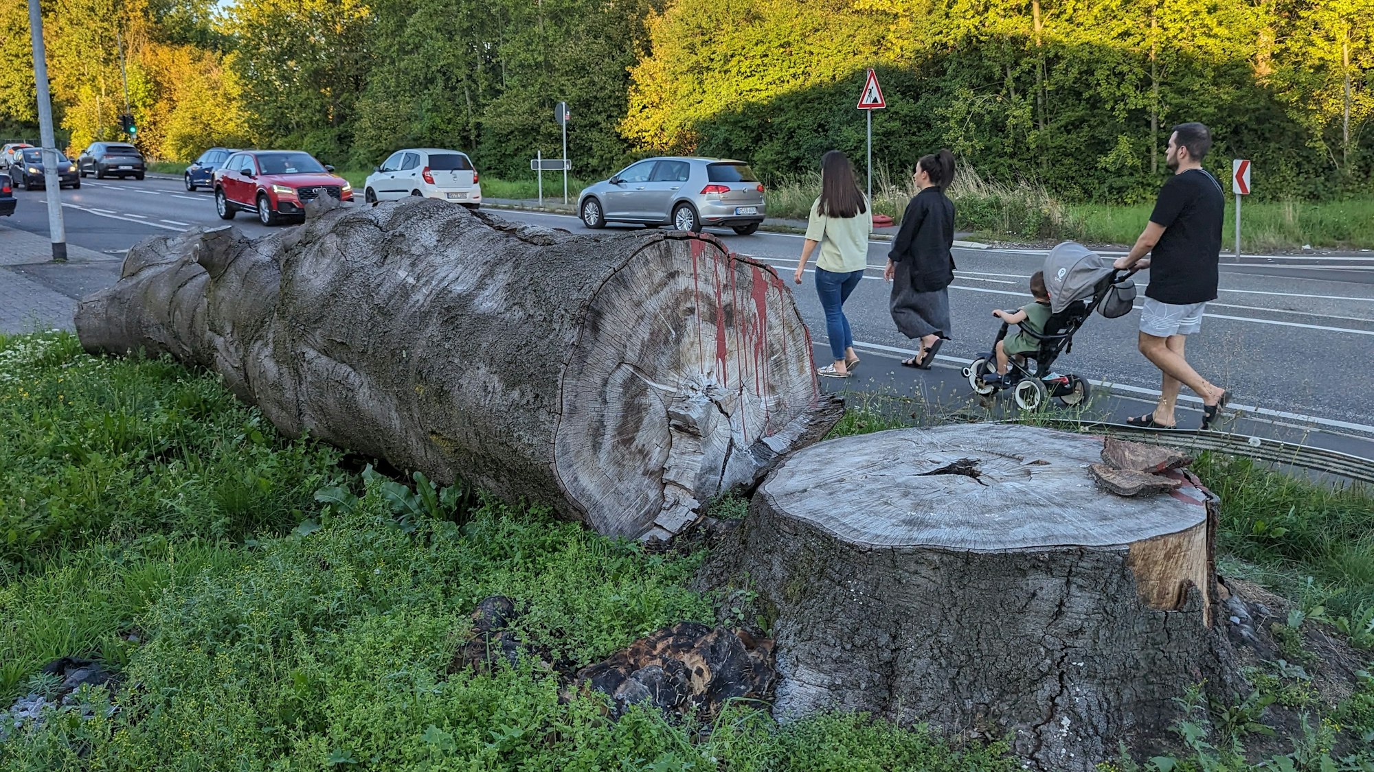 Ein massiver Baumstamm liegt am Straßenrand neben dem Baumstumpf.