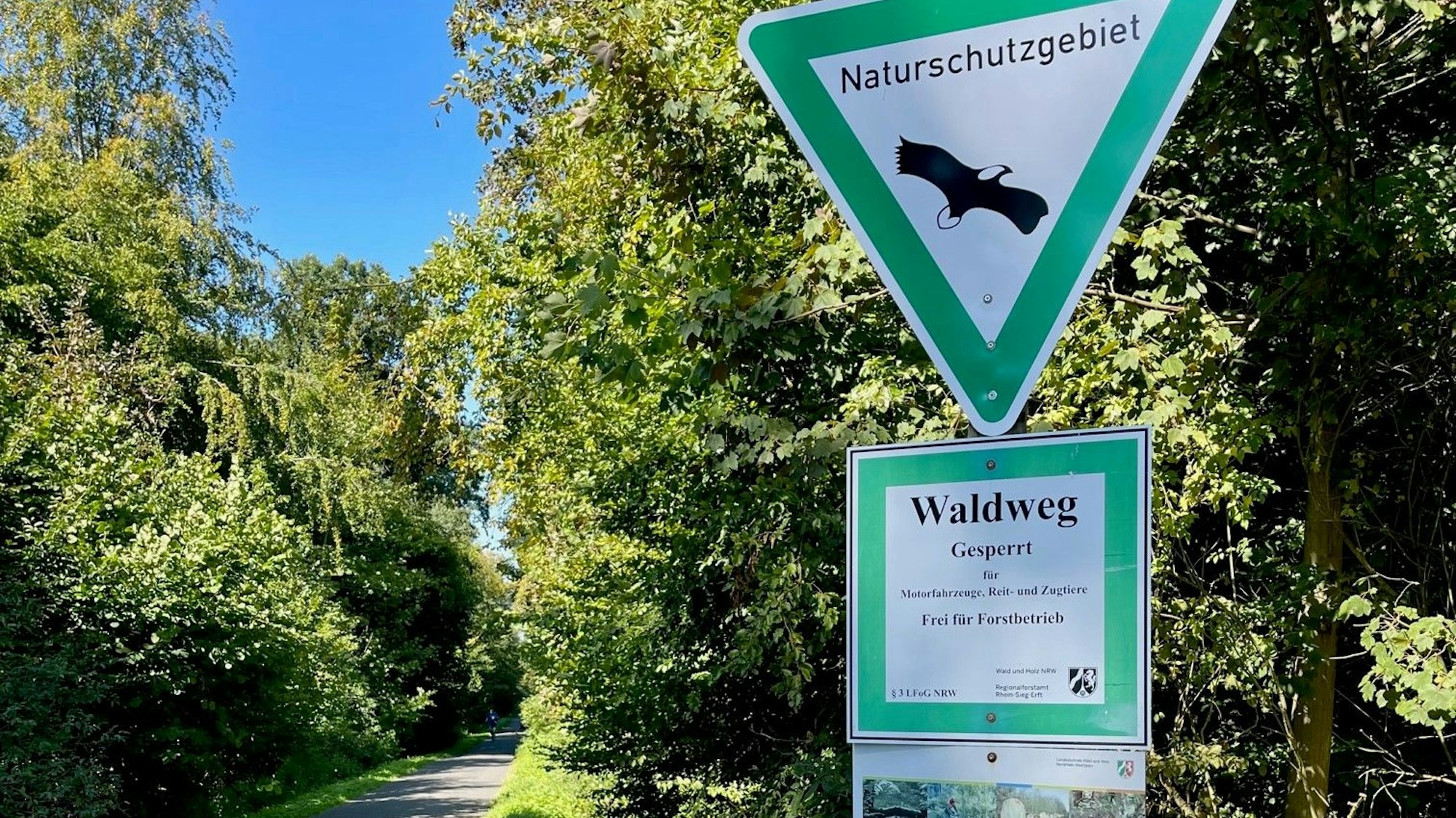 Wanderweg im Kottenforst in Villiprott,
Wachtberg