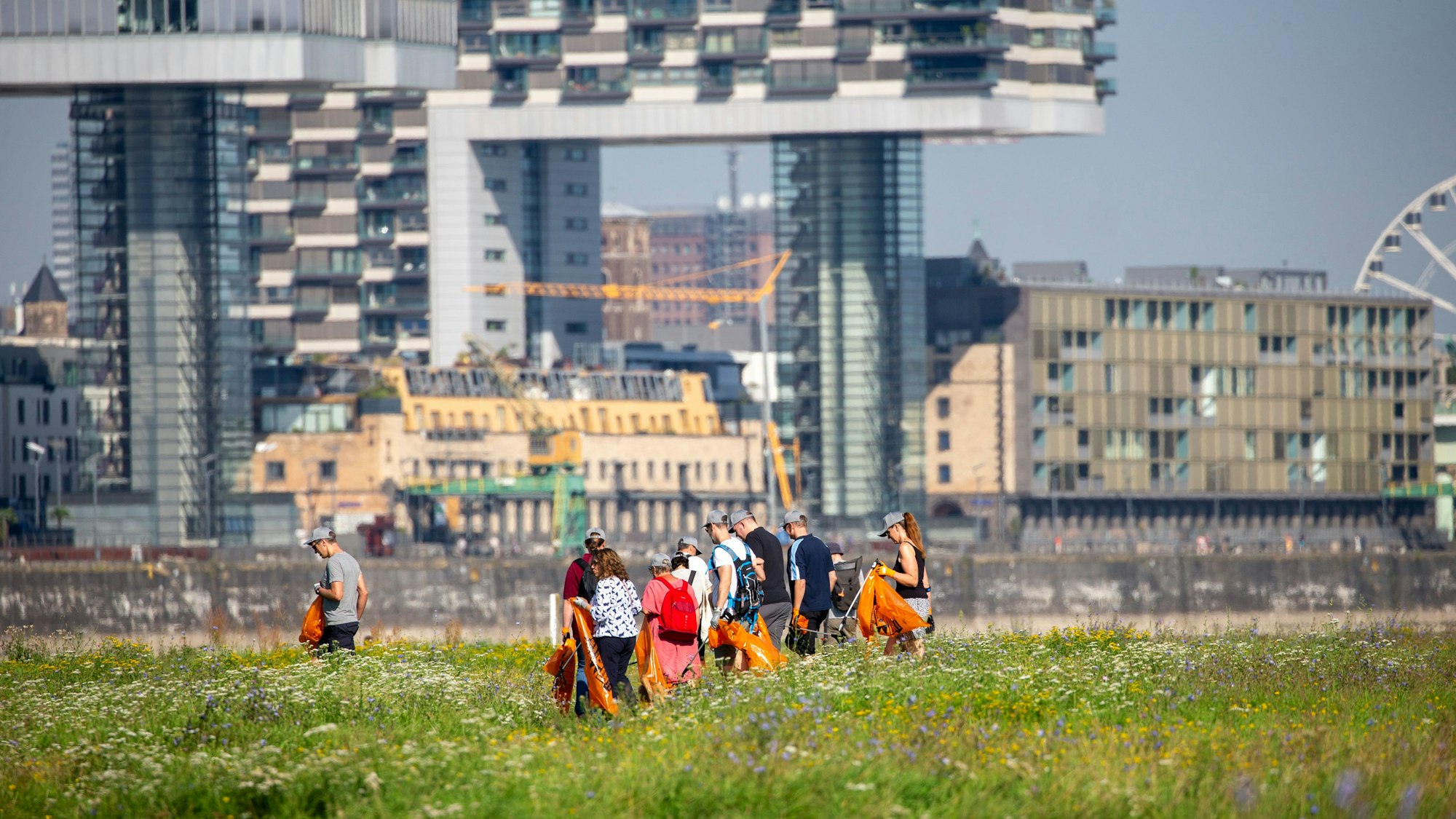 Rhine Clean up