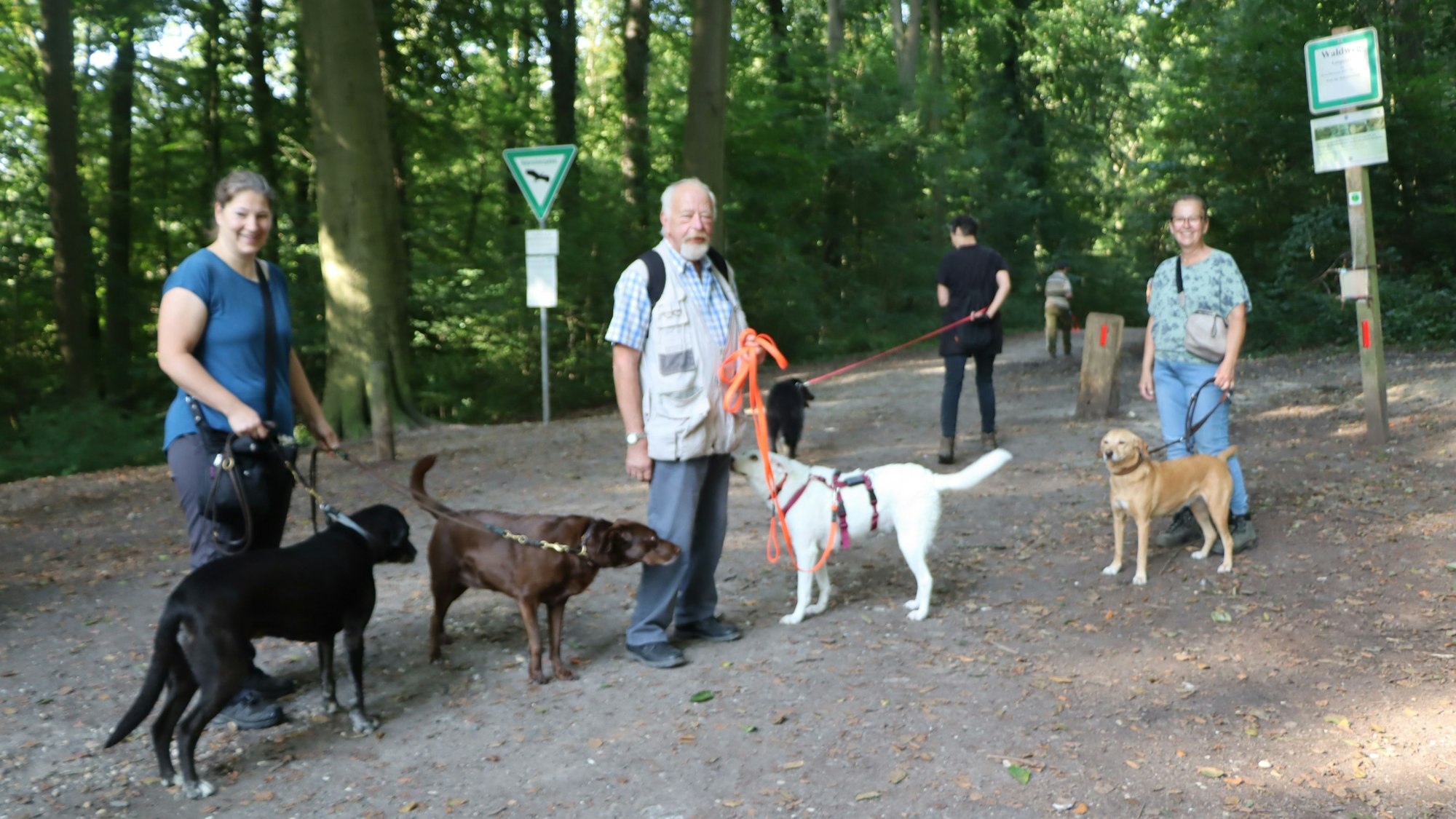 Hunde gehören hier im Wald an die Leine, sagen sogar die Hundefreunde aus Köln und Umgebung, die sich jeden Samstag im Kottenforst treffen.