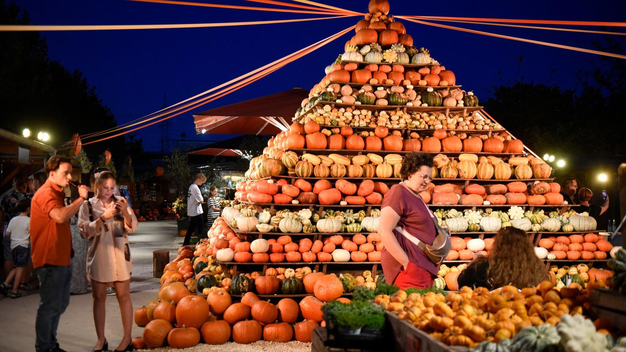 Eine Pyramide aus Kürbissen